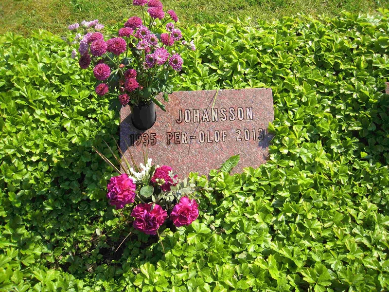 Grave number: NK II ASKL    46