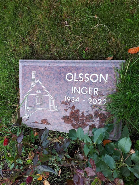 Hautatunnus: NK F D   519