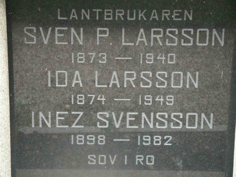 Grave number: KK NÖ A    25-28