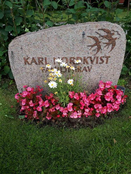 Hautatunnus: NK F C    87-88