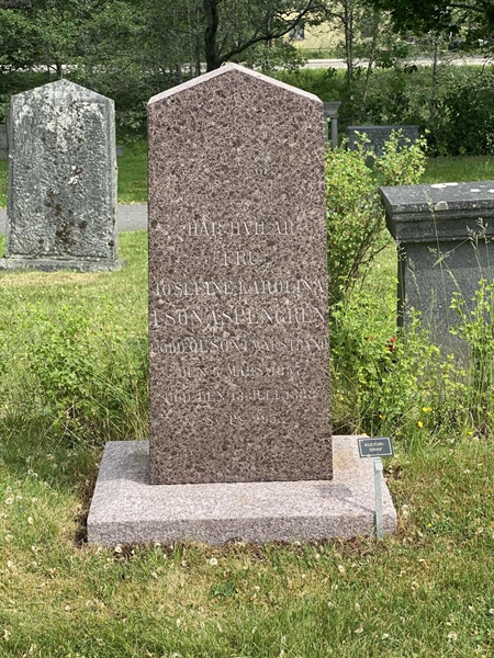 Grave number: 1 08   101