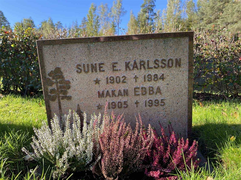 Gravnummer: 1 22     24