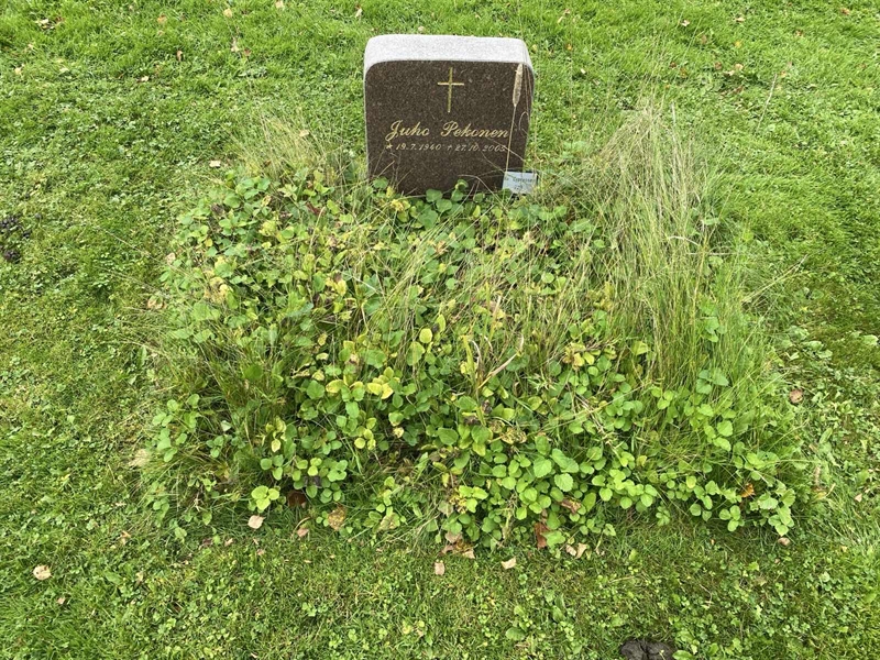 Hautatunnus: 2 C   223