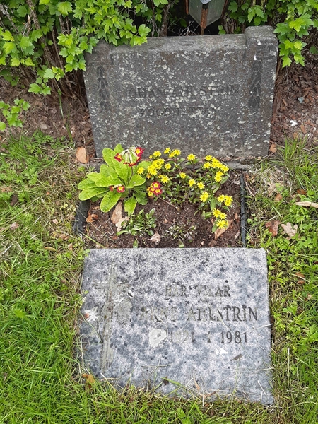 Grave number: NO 23   263