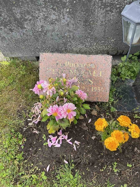 Hautatunnus: N 4 3   462