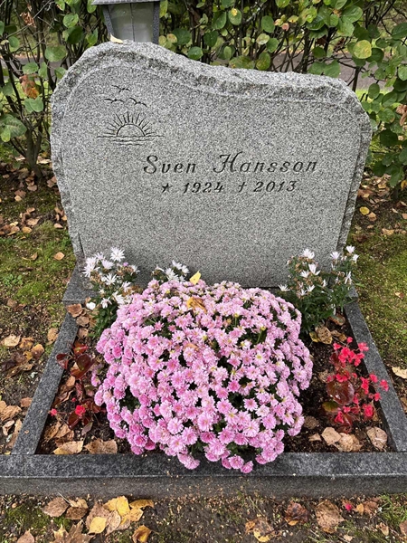 Grave number: 3 15  1885