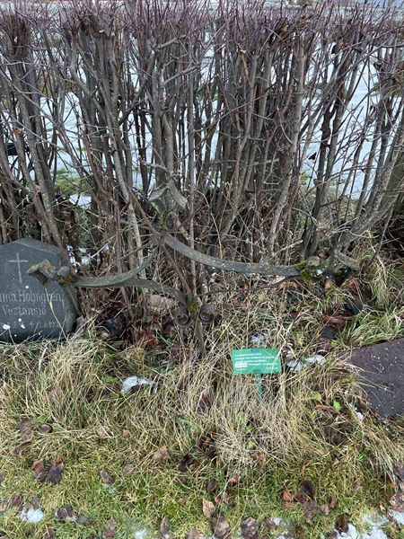 Gravnummer: GK A 5    43V