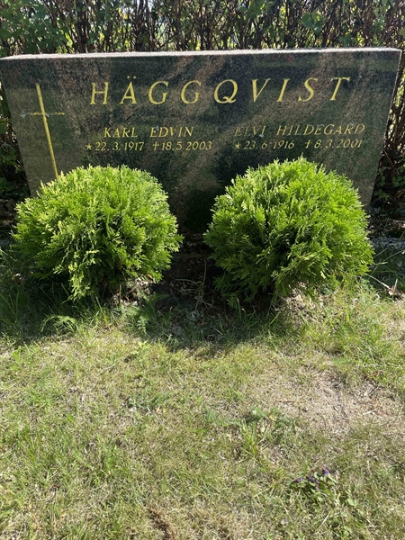Hautatunnus: N 8 5    38-39