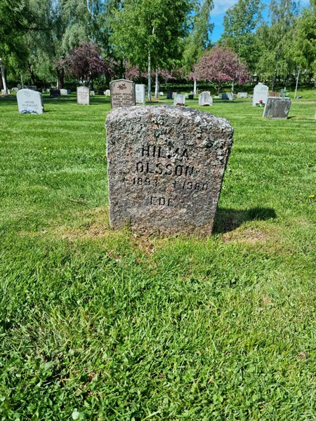 Grave number: D N 3   642