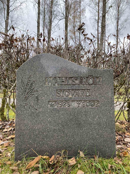 Grave number: 1 29     25