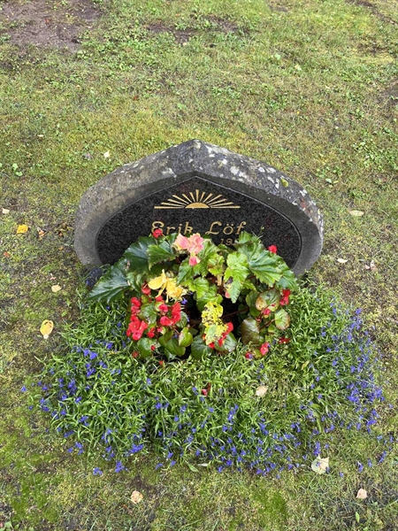 Grave number: 5 03   325