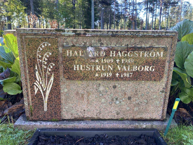 Grave number: 3 11 118