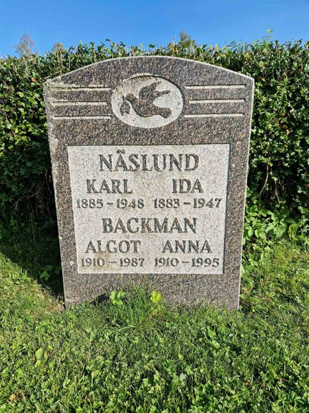Hautatunnus: 451 16 9