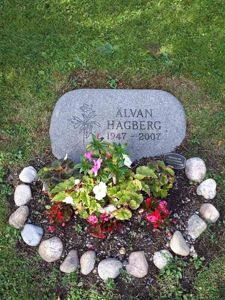 Hautatunnus: NK F D   467