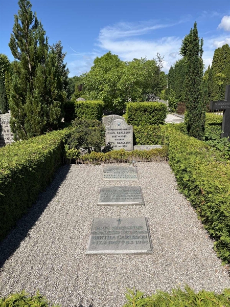 Grave number: NK III   120