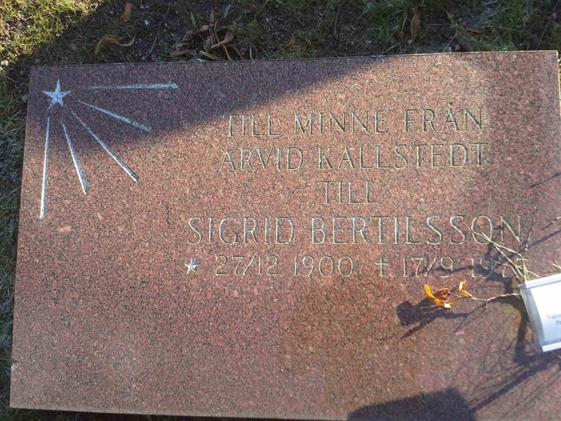 Grave number: VÄ 04   118