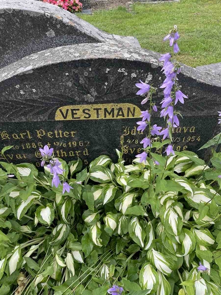 Hautatunnus: N 4 3   321