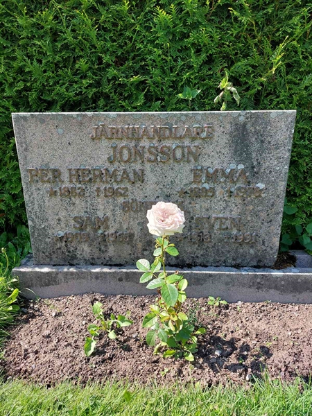 Gravnummer: 1 C   133