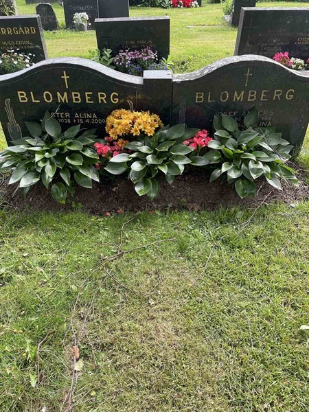 Grave number: N 4 2   287