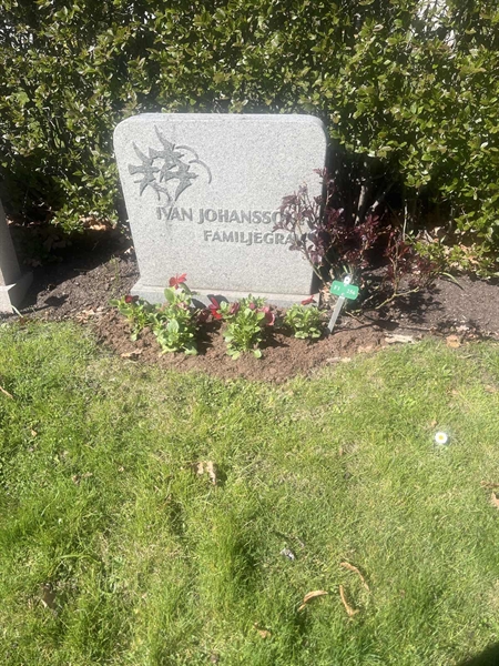 Grave number: 1 3 F1 256