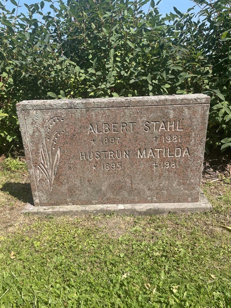 Hautatunnus: 1 A1    64-65