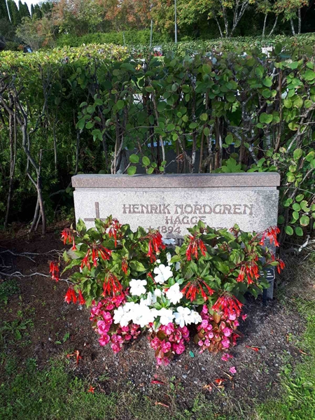 Gravnummer: NK F B   156