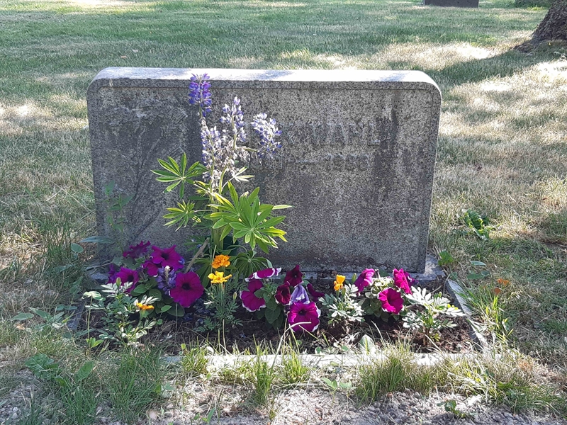 Grave number: VI 02   732