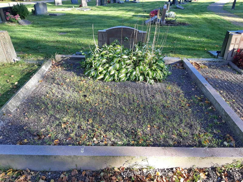 Hautatunnus: Fr 7   982-983