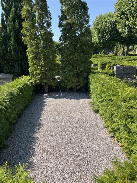 Grave number: NK VII    92