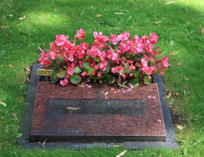 Grave number: Ö 45   435