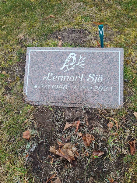 Hautatunnus: Bj T    80