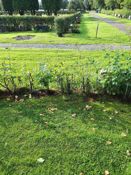 Hautatunnus: NK F C    40-41