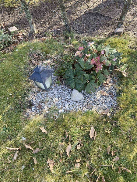 Grave number: Kå 51     5