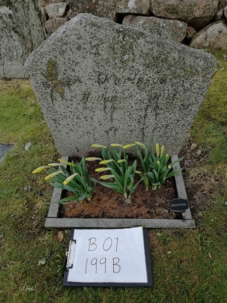 Grave number: B 01   199