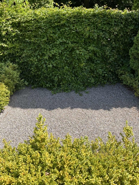 Grave number: NK H II    12