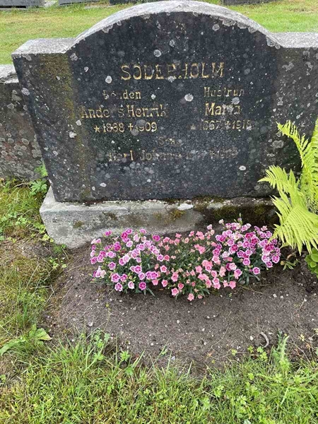 Gravnummer: N 4 4   502