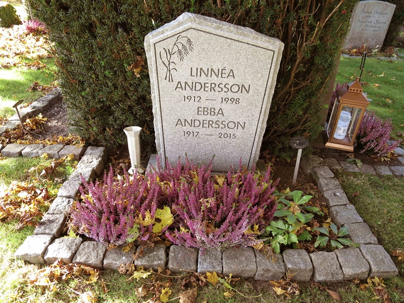 Grave number: HNB II   107