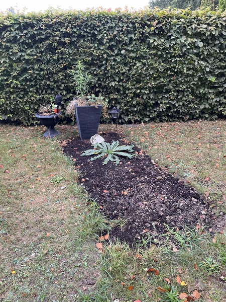 Grave number: NK XV    94
