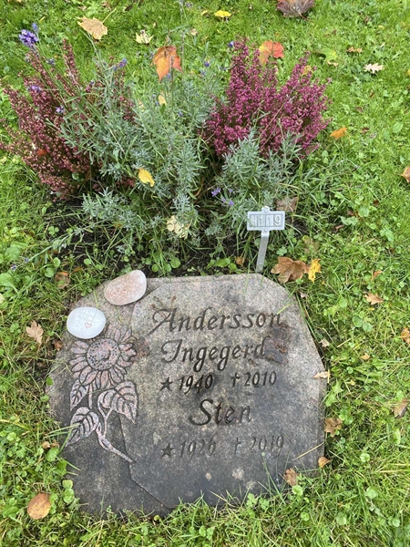 Gravnummer: 1 H   119