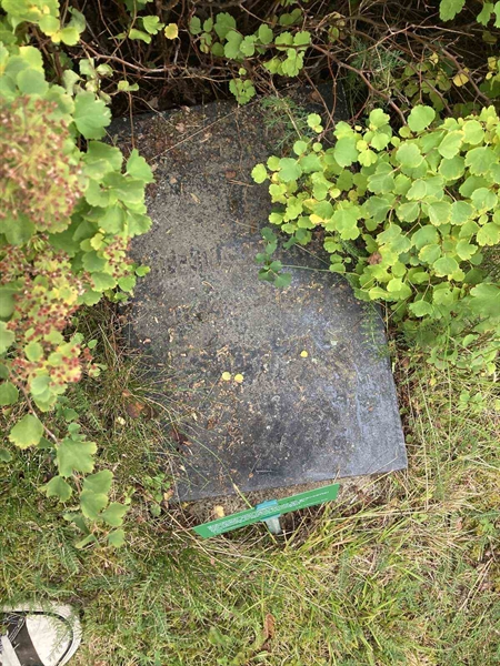 Grave number: 1 GL.9    29