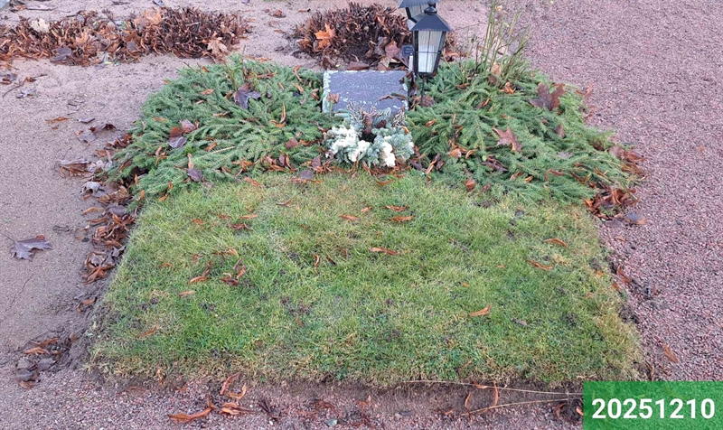 Hautatunnus: 1 N   125B