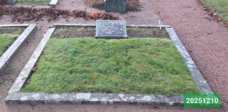 Hautatunnus: 1 N   132