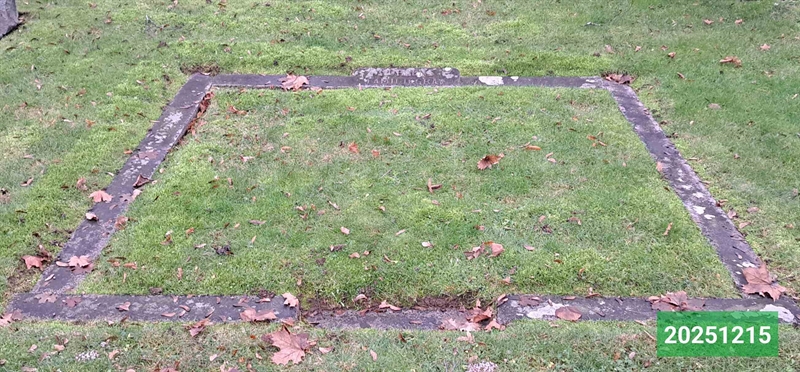 Gravnummer: 1 N    30