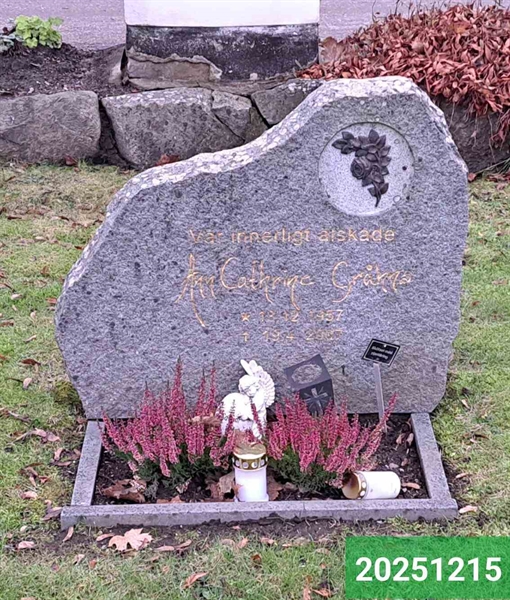 Hautatunnus: 1 N    31