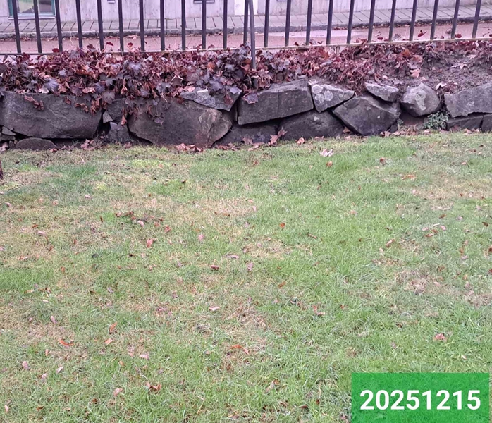 Hautatunnus: 1 N    20