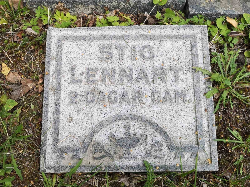 Hautatunnus: POK 11    13