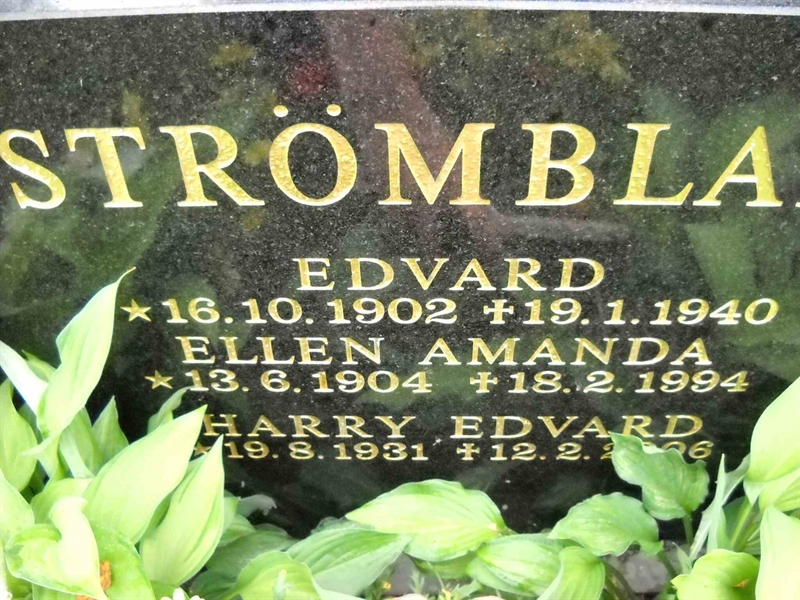 Grave number: 3 MB 07     25-26