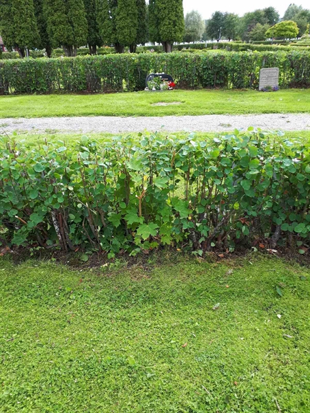 Hautatunnus: NK F C   129-130