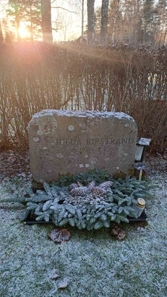 Hautatunnus: 6 05    243, 244