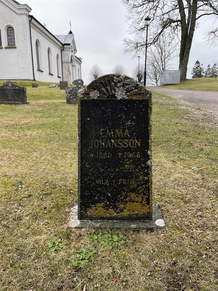 Hautatunnus: HA F    98